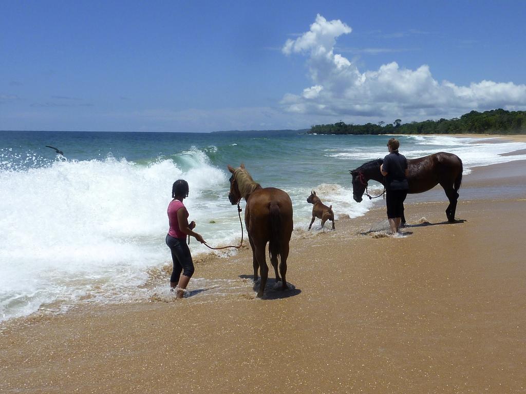 Bluff Beach Retreat Bocas del Toro Exterior photo
