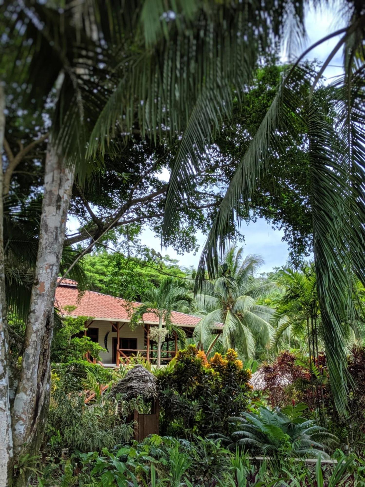 Bluff Beach Retreat Bocas del Toro Exterior photo
