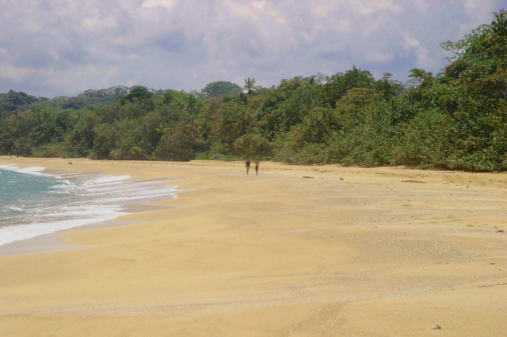 Bluff Beach Retreat Bocas del Toro Exterior photo